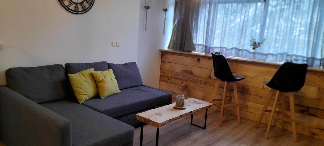 Apartamento El Sarrio Candanchú Zewnętrze zdjęcie